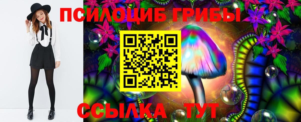 Галлюциногенные грибы Psilocybine cubensis  Вход с VPN  Мелеуз 